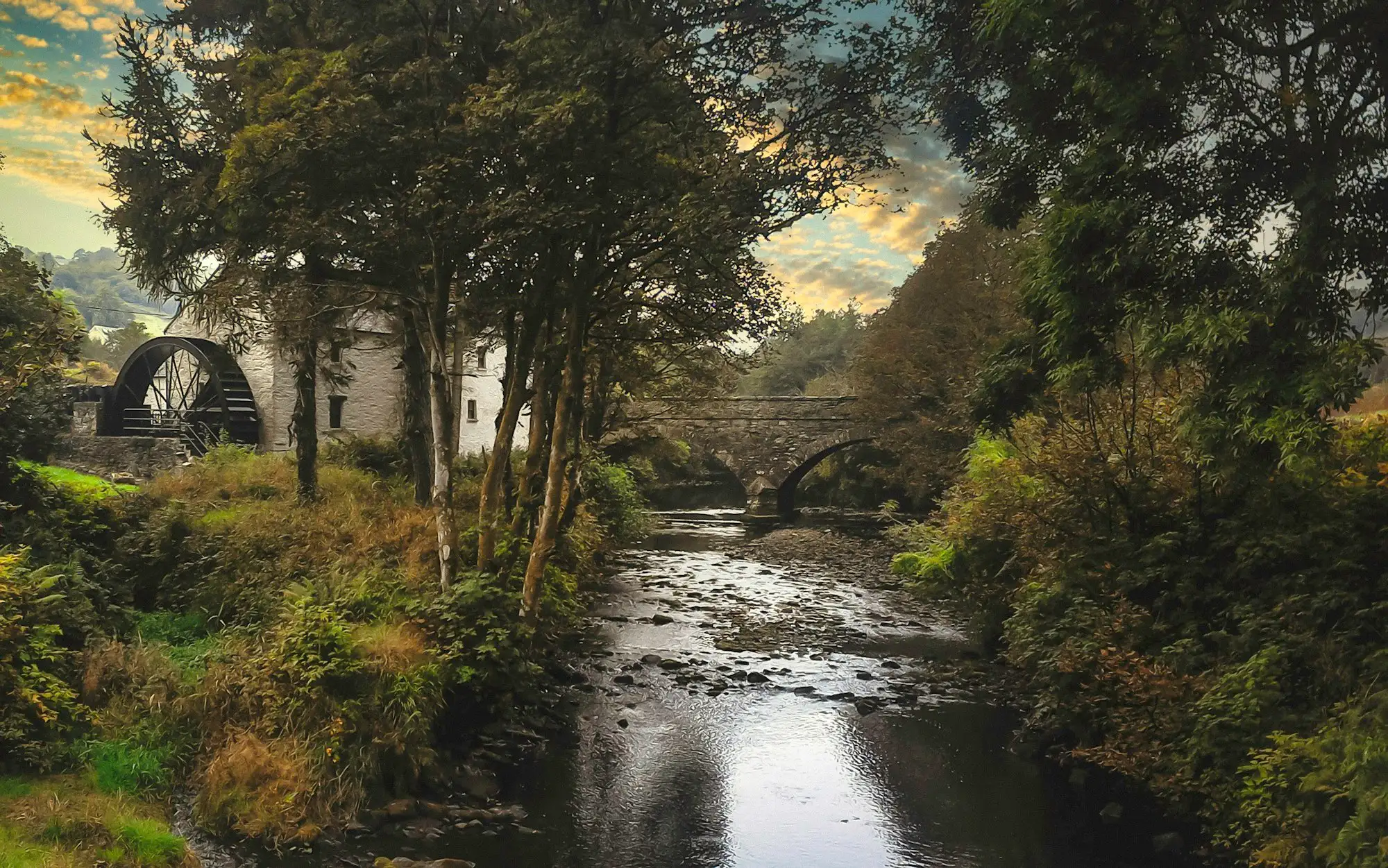 A river running between trees